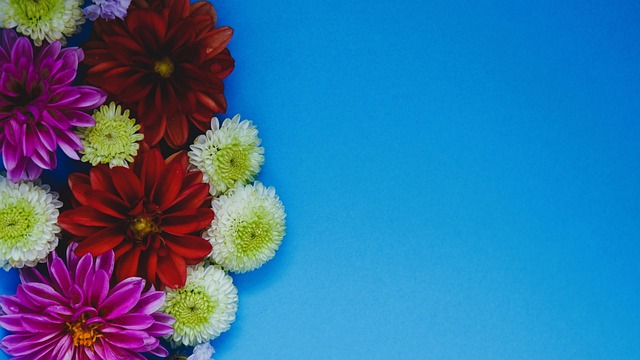 记者：阿根廷国家队已征召凯文-麦卡利斯特